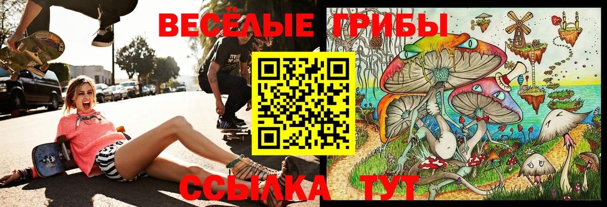 Псилоцибиновые грибы Psilocybe  Вход с VPN  Галлюциногенные грибы Cubensis  Карасук 