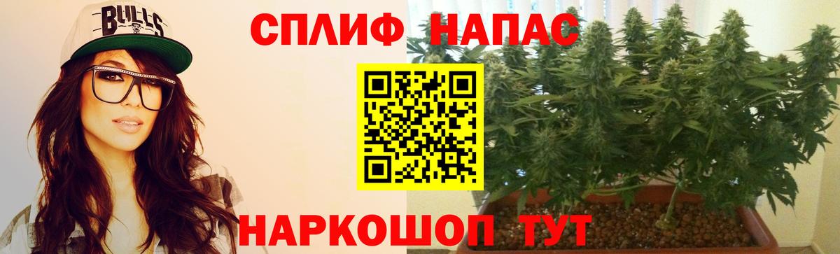 Канабис сатива  Канабис сатива  Канабис Amnesia  Вход с VPN  Карасук  Бошки Шишки семена 